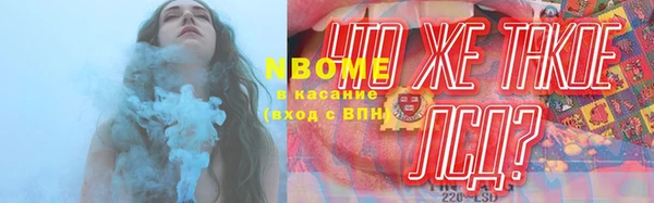 прущие грибы Алзамай
