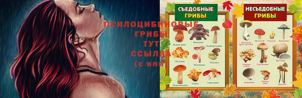 дживик Абаза