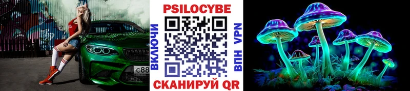 где можно купить наркотик  Новокубанск  Галлюциногенные грибы Cubensis 
