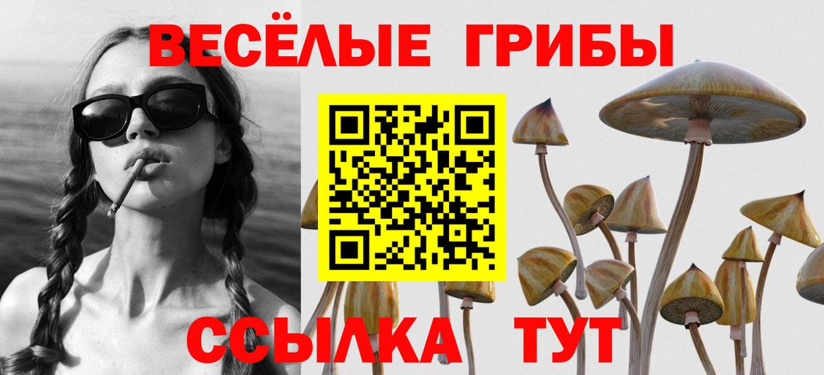 Новокубанск  Псилоцибиновые грибы ЛСД  Вход с VPN 
