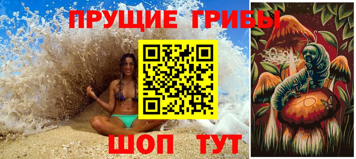 Псилоцибиновые грибы ЛСД Новокубанск